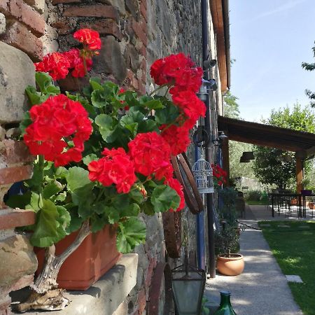 Agriturismo Tananei Marliana ภายนอก รูปภาพ