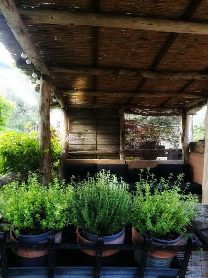 Agriturismo Tananei Marliana ภายนอก รูปภาพ