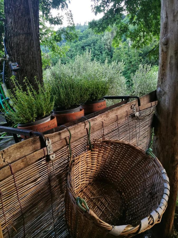 Agriturismo Tananei Marliana ภายนอก รูปภาพ