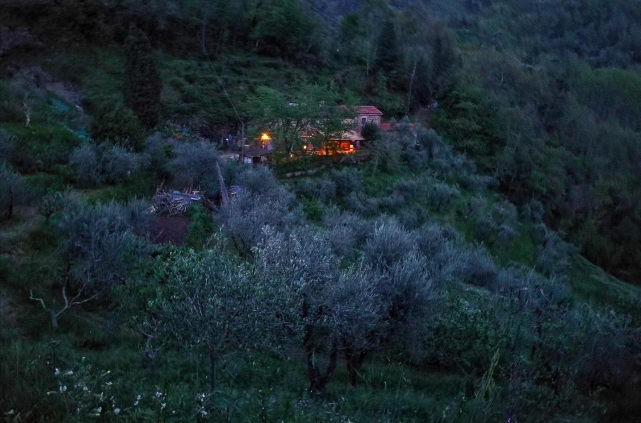 Agriturismo Tananei Marliana ภายนอก รูปภาพ