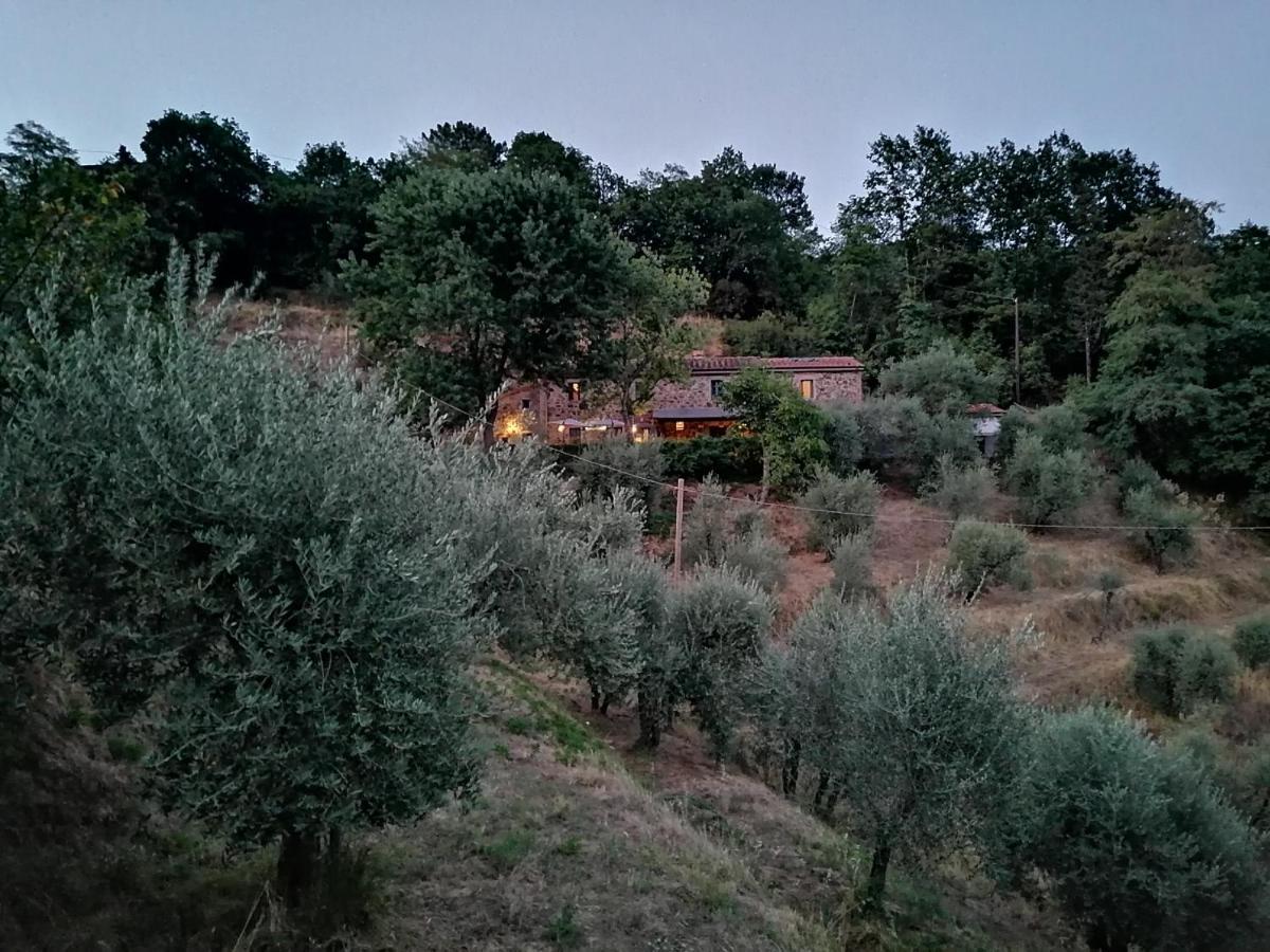 Agriturismo Tananei Marliana ภายนอก รูปภาพ