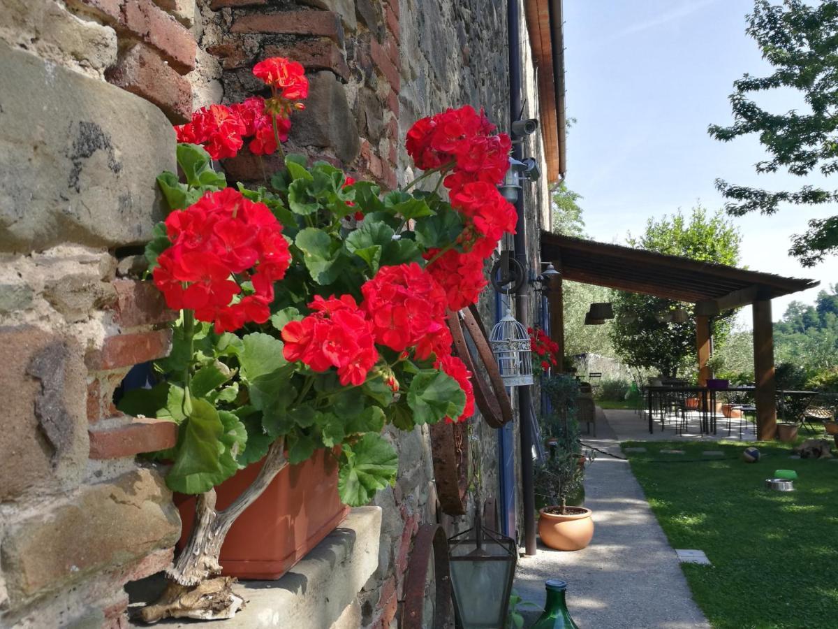 Agriturismo Tananei Marliana ภายนอก รูปภาพ