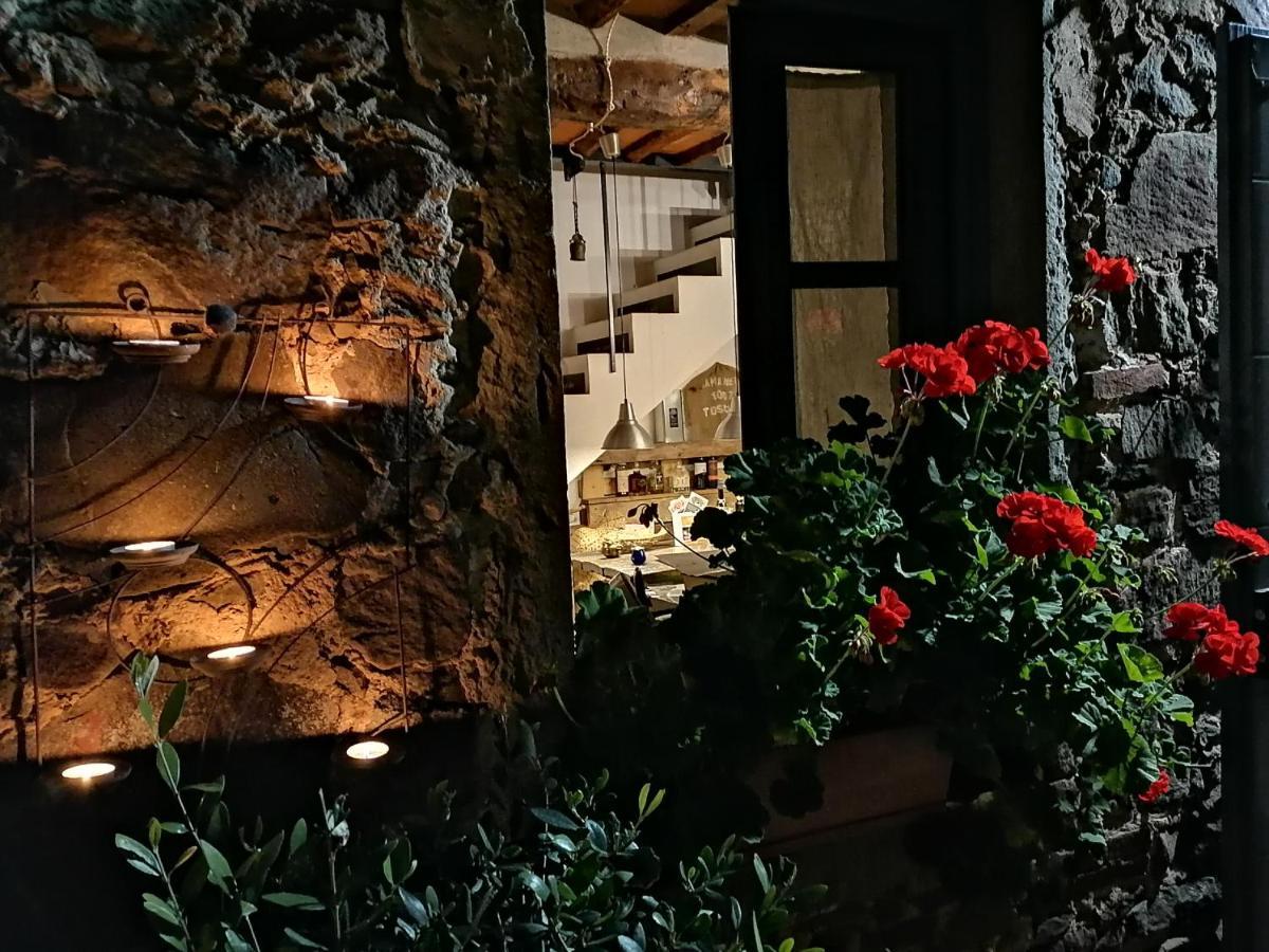 Agriturismo Tananei Marliana ภายนอก รูปภาพ