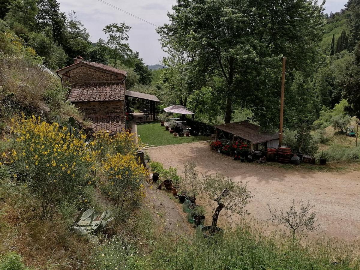 Agriturismo Tananei Marliana ภายนอก รูปภาพ