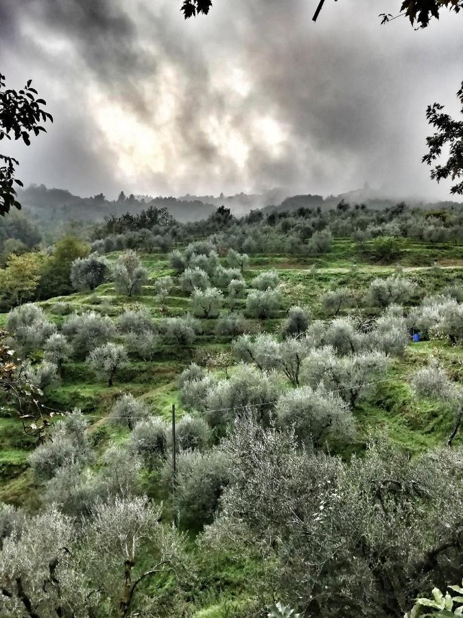 Agriturismo Tananei Marliana ภายนอก รูปภาพ