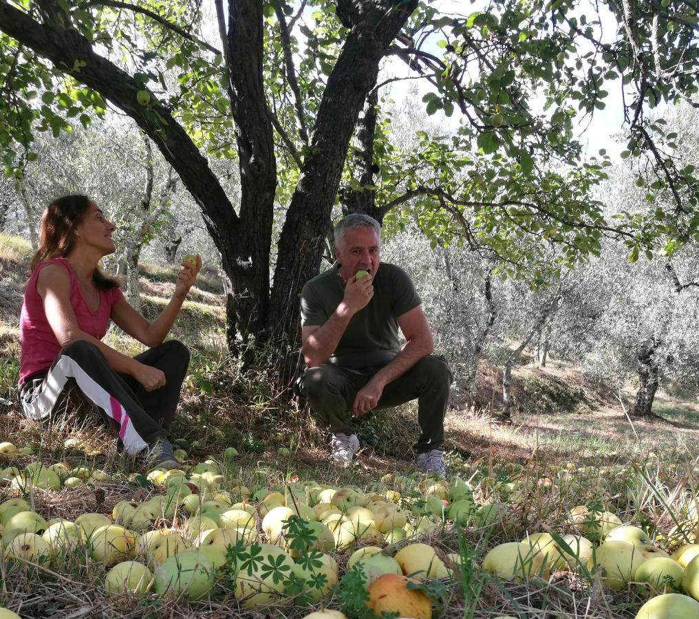 Agriturismo Tananei Marliana ภายนอก รูปภาพ