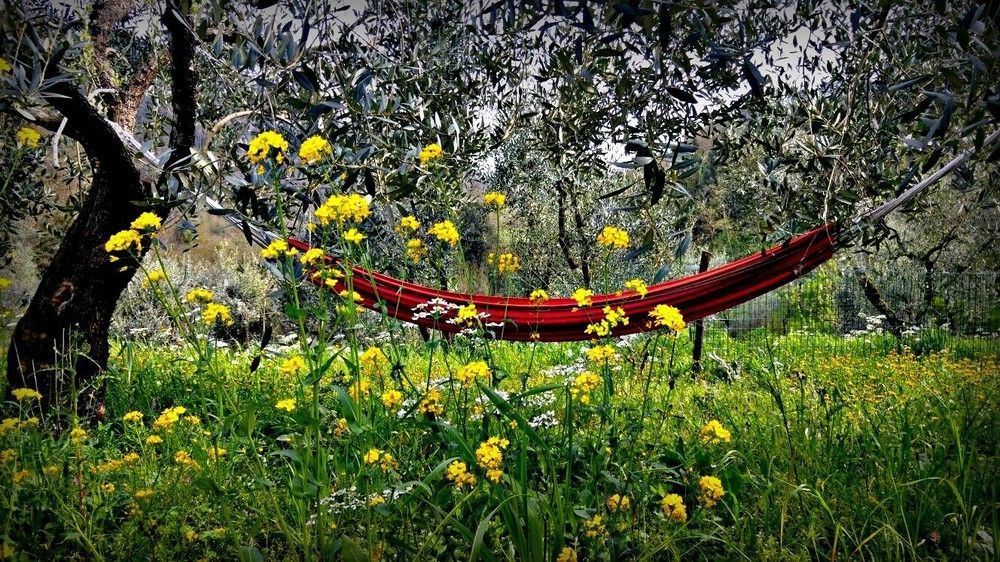 Agriturismo Tananei Marliana ภายนอก รูปภาพ